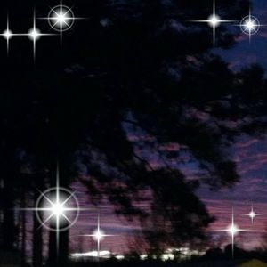 Meet your Posher, Charles